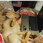 Michael Agate - @agate_mike - Instagram