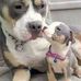 Michael Agnes - Facebook