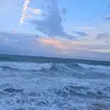 michaela magnone - @michaela.magnone - TikTok