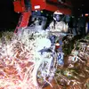 michel.agro🌱❤️ - @agro.michel - TikTok