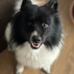 Michael Ahlborn - @drwayne33 - Instagram