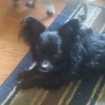 Michael Ahlborn - @michaelahlborn4269 - Instagram
