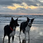 Michael Ahmann - @michael.ahhhhh - Instagram