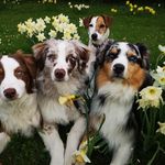 Michael Ahrens - @ahrensmichaelsd - Instagram