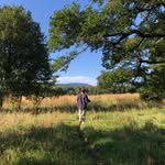 Michael Ahrens - @michael.ahrens - Instagram