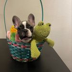 Michael Akers - @bluebonnet__bulldogs - Instagram