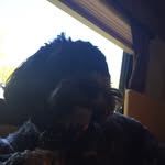 Michael Akers - @michael__akers14 - Instagram