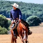 Michael Albert - @qh_rider - Instagram