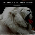 Michael Alberts - @michael.alberts.5099 - Instagram