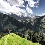 Michael Alborn - @michaelalborn - Instagram