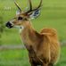 Micheal Alcalde - Facebook