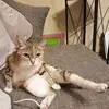 Michaela Aldag - @michaela.aldag - TikTok