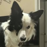 Michael Alkire - @alkire.michael22 - Instagram