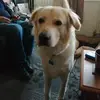 Michael Allanson - @user836052499 - TikTok