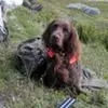 michaelallansson - @michael.allansson - TikTok