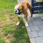 Michael Alles - @alles_75 - Instagram