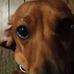 Michael Alligood - Facebook