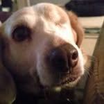 Michael Allison - @michaelallison6866 - Instagram