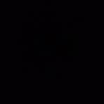 Michael Alpers - Facebook