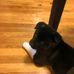 Mike Altshuler - Facebook