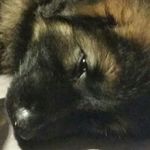 michael amante - @iwannatalktoyurmum - Instagram
