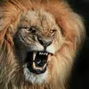 Michael Amare444 - @michaelamare253 - TikTok