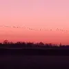 Michael Lambers - @michael.lambers - TikTok