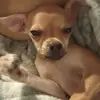 Michael Ames - @michael.ames2 - TikTok