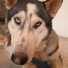 michael amiel - @michael.ami - TikTok