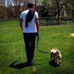 Michael Ammiano - @mammiano - Instagram