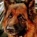 Michel Amoros - Facebook