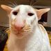 Michael Amory - Facebook