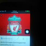 Michael Amuso - @michaelamuso4 - Instagram