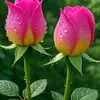 Michael Andrea Moreau - @michaleandre...t8765 - TikTok