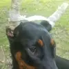 Ralph Michael Ankrom - @user021591060 - TikTok