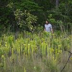 Michael Ansley - @ansleywildlifephotography - Instagram