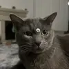 Michaelanthony505 - @aanthony125 - TikTok