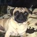 Mikey Antonson - Facebook