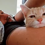 Michael Appel - @themikeappel - Instagram