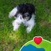 Michael Appelmann - Facebook