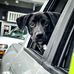 Michael Apperson - Facebook