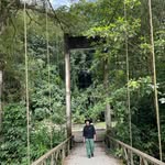 Michel Araneda Silva - @michel.araneda - Instagram