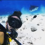 Michael Arazi - @dont_dive_with_me - Instagram