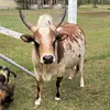 Michael Ard - @michael.ard4 - TikTok