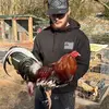 Michael Sargent - @michaelsargent73 - TikTok