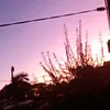 ariel_carmichael - @ariel_carmichael - TikTok