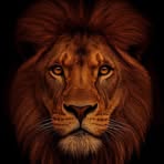 Michael Ariel - Facebook