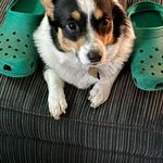 Michael Ariola - @michael.ariola.70 - Instagram