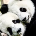 Michael Arkhipov - @michael_arkhipov_ - Instagram