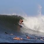 Michael Arkfeld - @michaelarkfeld8 - Instagram